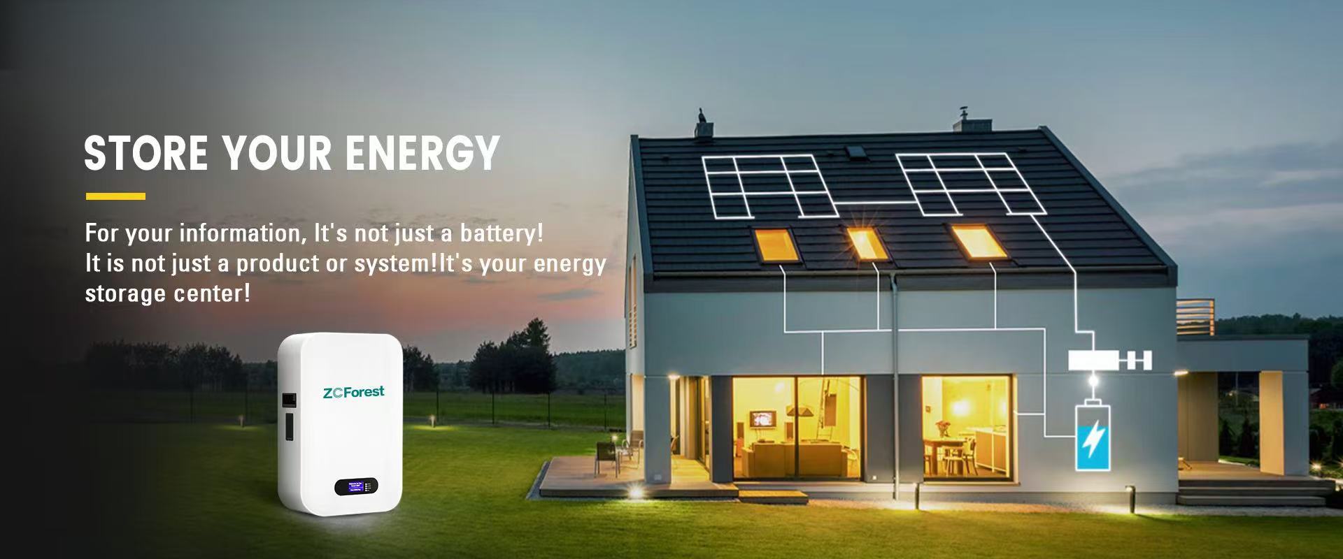 Energy Storage System